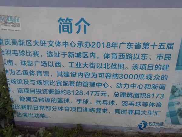 主輔龍骨籃球體育木地板2